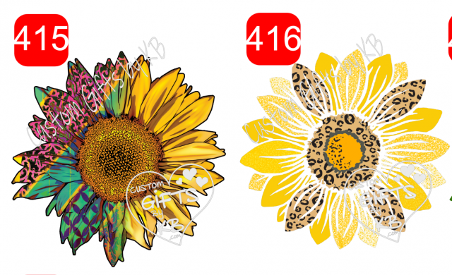 Patchy Sunflower ~ Leopard Sunflower